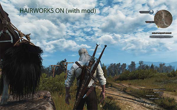 Hairworks on Everything but Geralt
