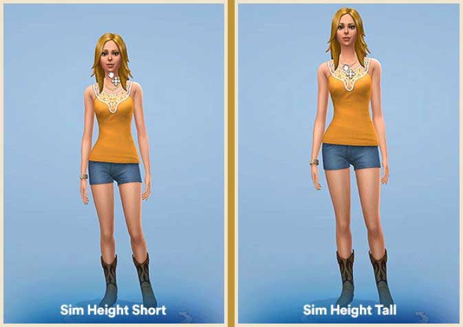 Sim Height Slider