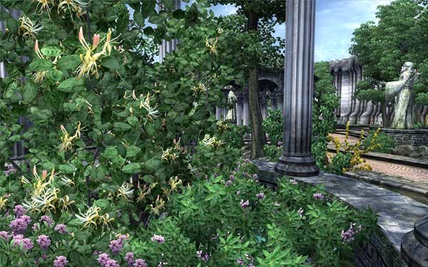 Improved-Trees-and-Flora