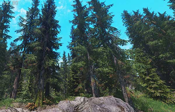 Skyrim-Flora-Overhaul