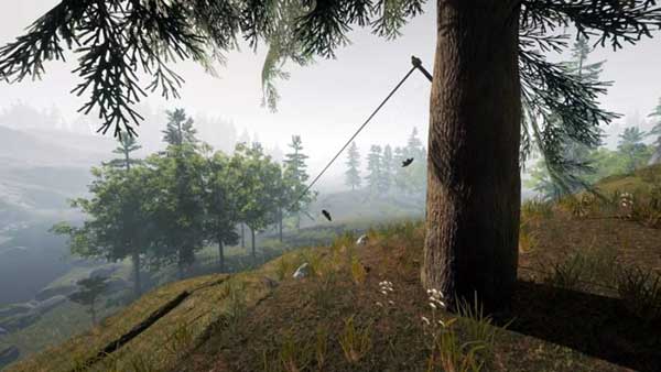 Infinite-Zipline