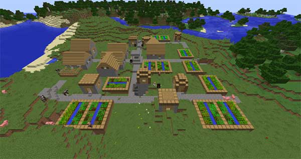 Starter-Village
